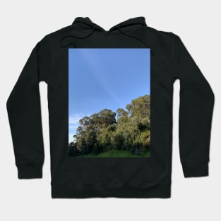 The sky and the trees Hoodie